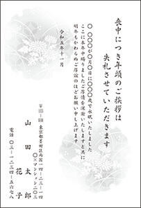 M3601：野菊