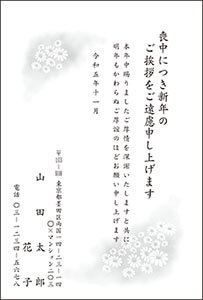 M3608：野菊